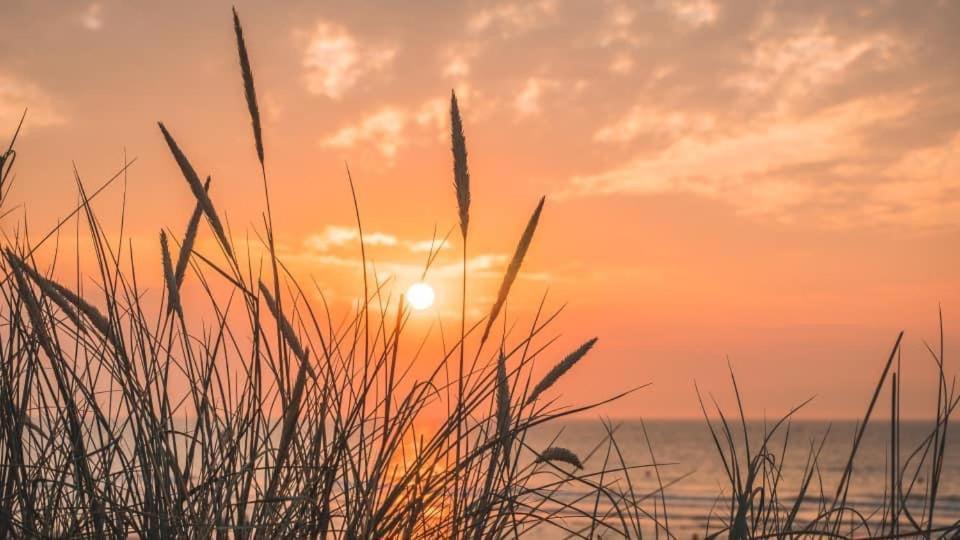 Duinendaele 232 Met Sauna Bij Plopsaland En Natuurreservaat Villa De Panne Exterior foto